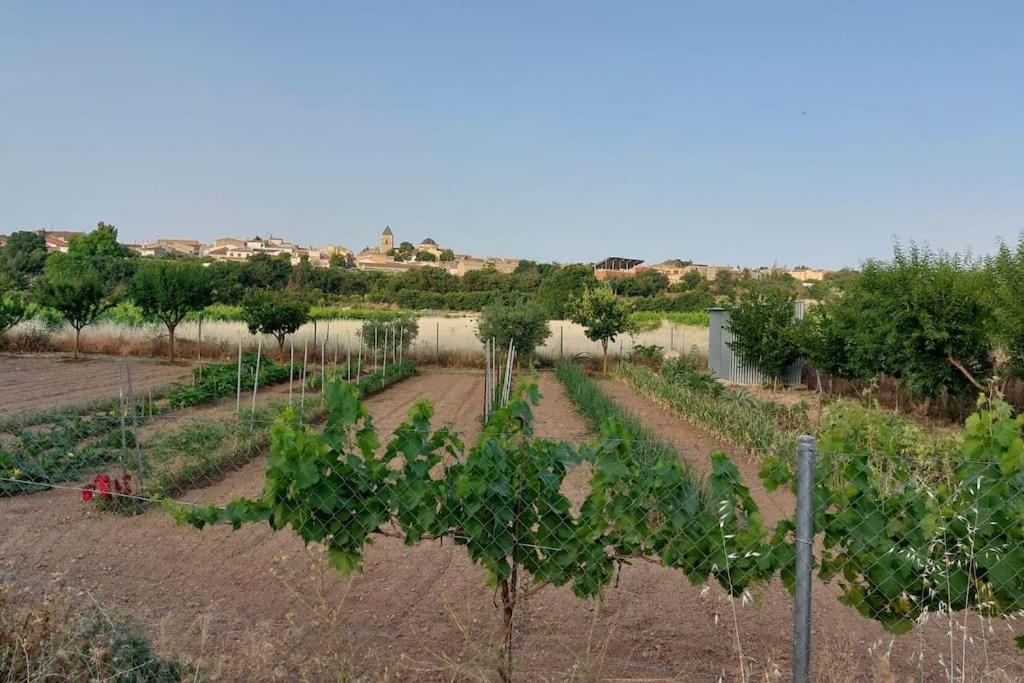 Casa Rural La Garnacha Alpera ภายนอก รูปภาพ